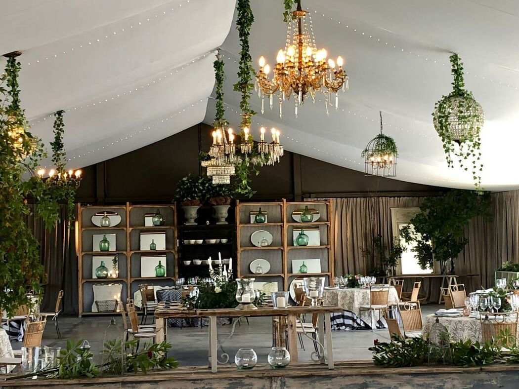 Foto Mil & 1 Pensamientos 