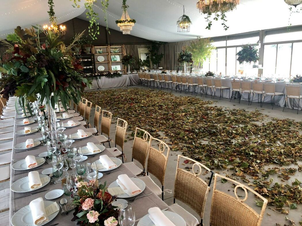 Foto Mil & 1 Pensamientos 