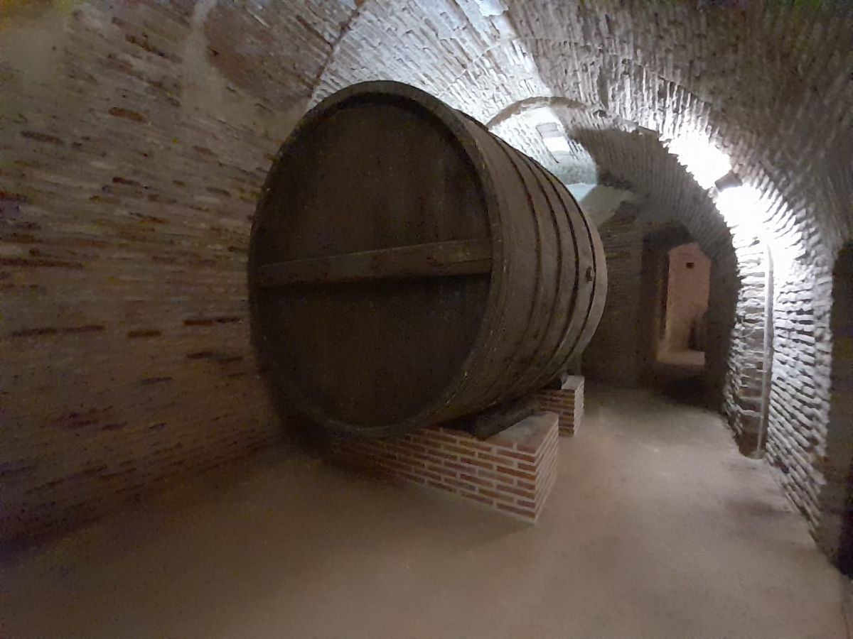 Foto Bodega Casa de Los Maestros